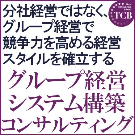 グループ経営システム構築コンサルティング
